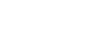 D.CORE