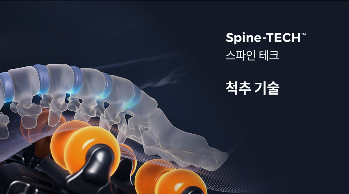 Spine-TECH 스파인 테크 척추 기술
