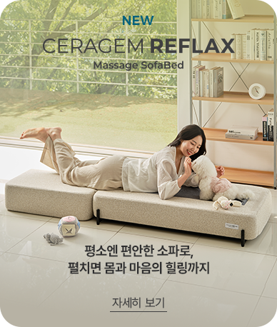 리플랙스 마사지 소파베드